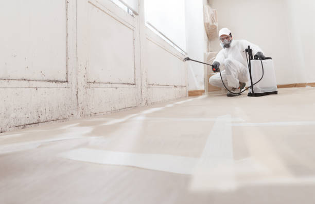 24/7 Emergency Black Mold Removal experts in Garrett, TX