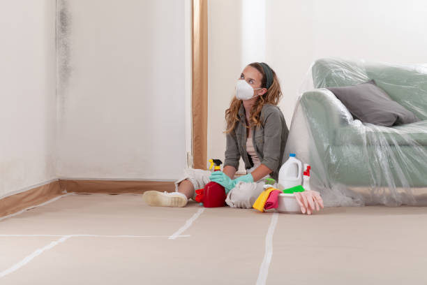 Reliable Black Mold Removal contractor in Garrett, TX by WQB Mold Removal